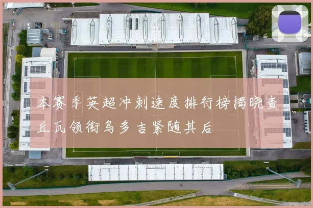 本赛季英超冲刺速度排行榜揭晓查丘瓦领衔乌多吉紧随其后